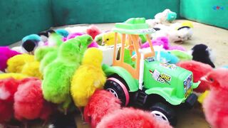 Lovely Hen Baby chicks vs Tractor Trolley Toys Video - FishCutting