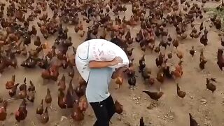 Good jobs
