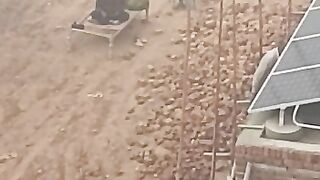 Potato Cold Store in pakistan