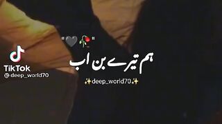 Tik Tok video shero shayari wali
