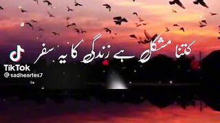 Tiktok sher shayari wale video