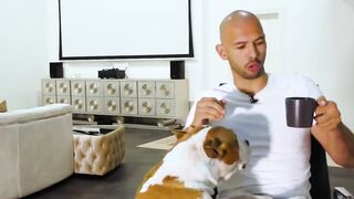 ANDREW TATE FUNNIEST MOMENTS COMPILATONS