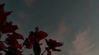 Beautiful Poetry As well beautiful Video
