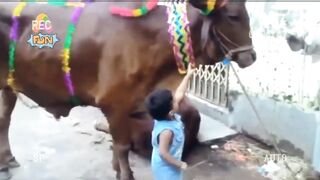 Bakra_Eid_Completion_All_Funny__Azizi_Totay_2021_Tezabi_Totay_Funny_Punjabi_Dubbing_part-2