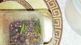 Enak kali ngerujak