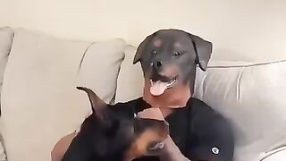 the dog is scared because he is playing masked