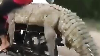 Astonishing Bike Ride
