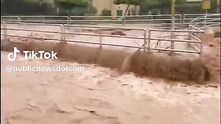 Islamabad mein Barish Mein tabahi macha Di