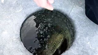 Big Pike is flipping!
