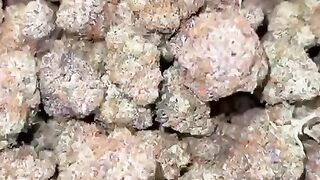 Acquistare cocaina a Milano tramite Telegram  Peptideshop001
