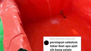 Tidak perlu cacahan pohon pisang begini cara sterilisasi kolam TERPAL baru