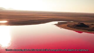 What if I told you theres a real lake in Africa that mummifies animals?