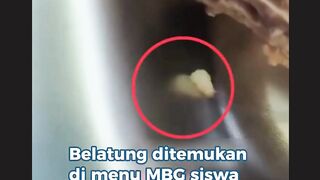 MBG kembali bermasalah - Adobet88