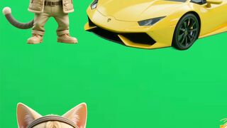 Lets help poor cat  for better life?! shorts usa english