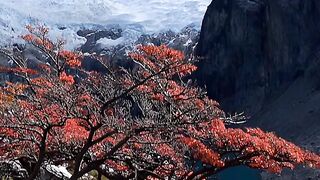 Border of Argentina and Chile.