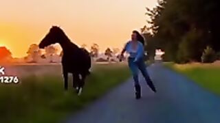 Horse and Riding Lovers