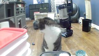 I think Mi-ke sees ghosts