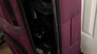 Zahra wants to go on a trip!