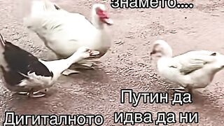 ИЗРОЖДЕНЦИ В СОФИЯ