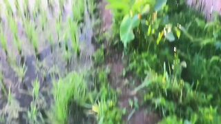 Cinematic video 5