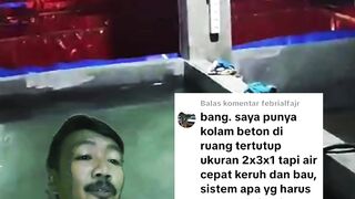 Kolam tertutup tidak terkena sinar matahari, air kolam butek dan bau, ini SOLUSInya