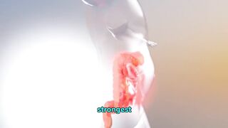 why stomach lining regenerates