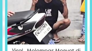 jadi seperti se ekor kera