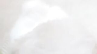 dog cute pet kitten animals funny pets beautiful puppy (1)