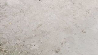 Crow eating food 2
