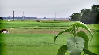 My phone zoom power