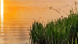 Beautiful nature 244
