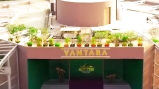 Anant Ambanis Vantara Built with love, for nature WildlifeCare AnantDadaEra AnantAmbaniDt