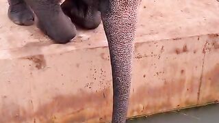 Fun   masti    FunVideo  funnyreels 49
