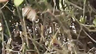 Fun   masti    FunVideo  funnyreels 51