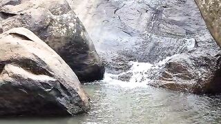 Forest water falls