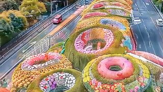 Beautiful video 92