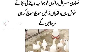 Susral walo ko jawab dene ki bajay Khush rahy