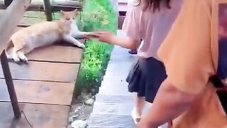 Fun   masti    FunVideo  funnyreels 65