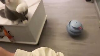 Fun   masti    FunVideo  funnyreels 66