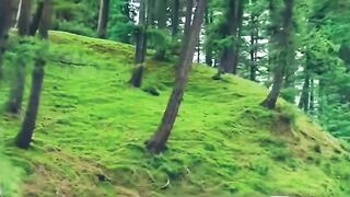 Awesome view point beauty of Kashmir