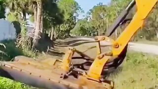 Cara orang luar negeri membersihkan rumput liar
