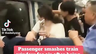 Passenger smashes train widow