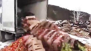 СЕЛСКОТОПАНСКИ ВНОС ОТ МОЛДОВА В РУСИЯ СЕ УНИЩОЖАВА ОТ РУСКА СТРАНА