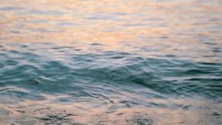 Gentle Waves and Ocean Whispers