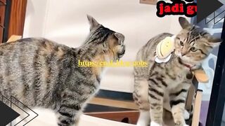 Beli odol doang, tapi malah dikembalikan pakai tatapan tajam si penjaga toko.