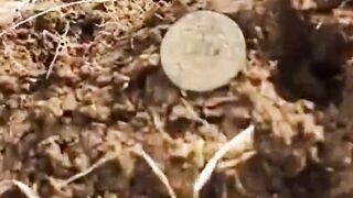 Newfoundland Large Cent Dug Today.trending canada viral metaldetecting coin