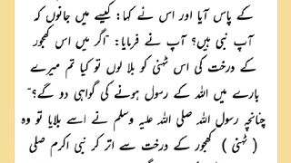 Shariat Ke Masail Seekhain 80