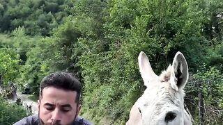 الحمار كل اللي بيعمله