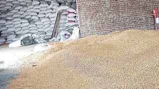 All videos 3