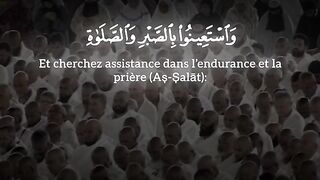 القرآن الكريم سورة البقرة